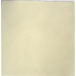 Губка китайская для шипов