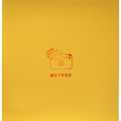 Накладка TSP Spectol 21