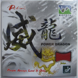Palio Power Dragon