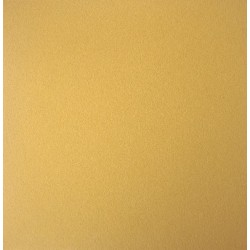 Накладка Xu Xin Backhand DHS  Hurricane 3