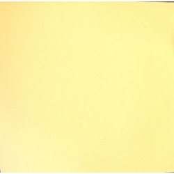 Губка Galaxy EVO